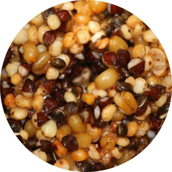 Eurotackle Particle Mix 5kg Ready To Fish 1 Eurotackle Particle Mix 5kg Ready To Fish