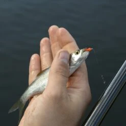 Cresta Spaghetti Worms 9 Cresta Spaghetti Worms -Hengelnl Winkel 3953085Cresta Spaghetti Worms 4