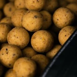 Mainline The Cell Shelf Life Boilies 1kg 7 Mainline The Cell Shelf Life Boilies 1kg -Hengelnl Winkel 4231709Mainline The Cell Shelf Life Boilies 1kg 3
