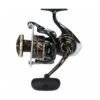 Daiwa 23 Caldia SW