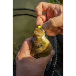 Sonubaits Spike'Um Wafter 8mm -Hengelnl Winkel 6281717Sonubaits Spike Um Wafter 8mm 3